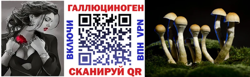 Галлюциногенные грибы прущие грибы  Беслан 